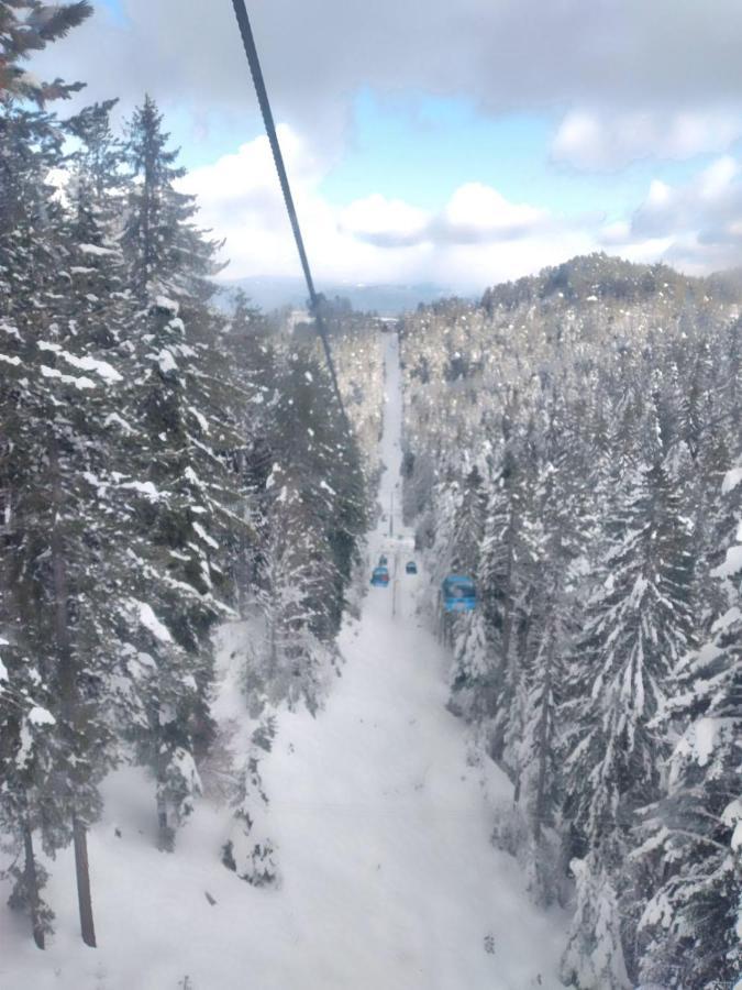 Илен 433 Bansko Royal Towers Lejlighed Eksteriør billede